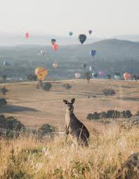 Visit Canberra On Twitter Australia Beach Australia Wallpaper Australia Travel