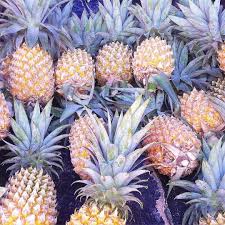 Lucie On Instagram Ananas Reunion Lareunion Reunionisland Reunion Island Instagram Island