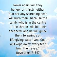 Wednesday Scripture Revelation 7 14 17 Revelation 7 Walk In The Light Scripture
