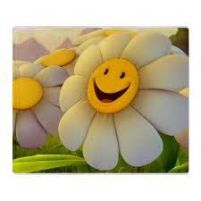 Legally grown medical marijuana flower, ready for harvesting. Flower Smiley Face Novocom Top