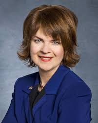 In Woodbury, Remakel to Challenge Weik for County Board Seat