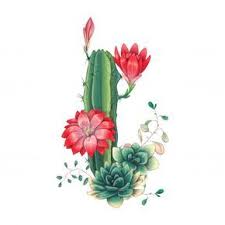 Cactus y suculenta ilustración, planta suculenta cactaceae dibujo doodle, cactus de dibujos animados, personaje animado, hoja png. Tarjeta Con Conjunto De Cactus Y Suculentas Vector Premium Pintura De Cactus Fondos De Cactus Cactus Dibujo