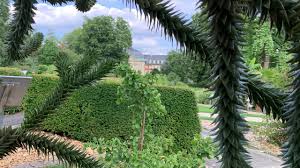 Ein sprizziger drink, ein offener rotwein: Botanical Garden Muenster Botanischer Garten Munster Munsterland Germany 4k Youtube