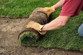 How much water to use. How To Lay Sod On An Existing Lawn Hgtv