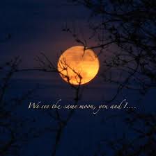 Supermoon Photo We See The Same Moon Full Moon Moon Quote Full Moon Quotes Moon Quotes Moon