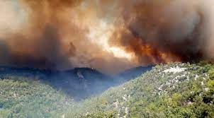 Karabük mahallesi beşkonak mevkiindeki ormanlık alanda saat 12.00 sıralarında yangın çıktı. 5m 9ugqciux Mm