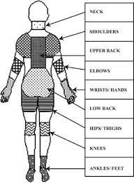 Hair, head, nape, neck, shoulder blade, arm , back, elbow, waist, trunk, hip. Body Parts Considered For Pain Assessment Over The Last 12 Months Download Scientific Diagram