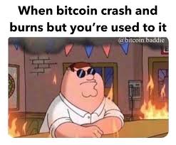 Buy and sell memez token (meme) on yobit exchange! When Bitcoin Crash And Burns But You Are Used To It Meme Finance Memes Tips Photos Videos