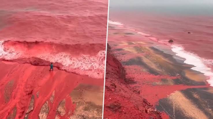 Viral News | Know Why Rainfall Turns Hormuz Island's Red Beach Seawater  Blood-Red in Iran | 👍 LatestLY