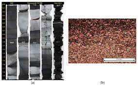 Vaccine rollout as of aug 26: Energies Free Full Text Deposition Diagenesis And Sequence Stratigraphy Of The Pennsylvanian Morrowan And Atokan Intervals At Farnsworth Unit Html