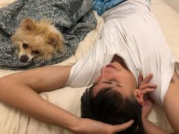 Find out if an lgbt person dies in chaos walking from over 8 other people who have already read it. When Pet Owners Fall Ill With Coronavirus What Happens Next The New York Times