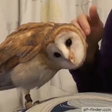 Always Look On The Bright Side Of Life Gif Https Encrypted Tbn0 Gstatic Com Images Q Tbn 3aand9gcs9xgak0cdjbmw3bm04htl6qxl7us2net7gjw Usqp Cau