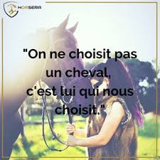 Attention, il ne faut pas l'utiliser sur un cheval tondu ou à la peau sensible. Citation Equestre On Ne Choisit Pas Un Cheval C Est Lui Qui Nous Choisit Citations Equestres Citations Equitation Cheval