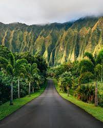 It is part of the honolulu botanical gardens, and is open daily, without charge, except for christmas day and new year's day. Best Photo Locations In Kailua Explorest