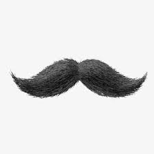 Moustache Creative Hair Png Transparent Clipart Image And Psd File For Free Download Moustache Clip Art Hair Png