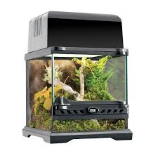 8 L X 8 W X 8 H Glass Terrarium With Dual Doors Front Ventilation Waterproof Bottom Raised Bottom F Reptile Habitat Reptile Terrarium Glass Terrarium