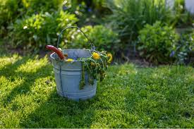 Reseeding also helps you to stay on top of routine lawn maintenance tasks like raking, dethatching, aerating, and fertilizing. Spring Weed Control 7 Tips Tricks For A Healthy Lawn