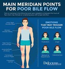 We did not find results for: 22 Symptoms Of Gallbladder Disease Drjockers Com