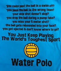 Pin On Water Polo You Ve Never Played Getting The Horses In The Water Is A Pain Some Mornings