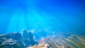 @L0yalTrinis video Tweet - Her exclusive tweet is trending now!