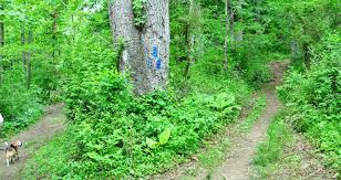 Found this park through yelp. Hiking At Jerusalem Village In Gunpowder Falls State Park Midatlantic Daytrips