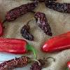 This video shows how i made chipotle peppers from fresh red jalapenos. 1