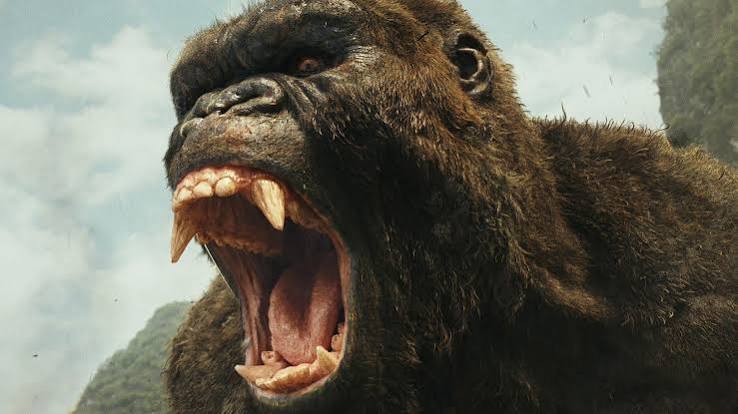 Anatomy of a Scene | ‘Kong: Skull Island’