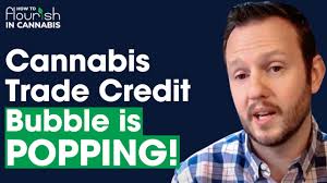 Extending Credit Terms in Cannabis: 5 things to protect your cash flow with  Adam Cavanaugh