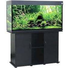 Delta Queen 75 Gallon Fish Tank Black Aquarium And Stand Combo Comes With Everything And Free Shipping Fish Tank Stand Fish Tank Aquarium Stand