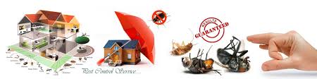 It was born with a desire to provide a healthy and hygienic environment to its customers. Affordable Pest Control And Cleaning Services In Uae Dubai Buildeey
