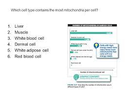 Muscle cells are continually used to move the body. What Is Life A Guide To Biology C 2012 W H Freeman And Company Ppt Video Online Download