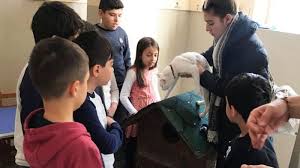 Baskan Altinok Cocuklarimiza Kedi Ve Kedi Evi Hediye Ettik 2020 Kedi Evi Kedi Baskanlar