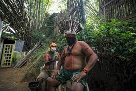 Many people living outside of rainforests want to help protect the indigenous people's culture. Desperate Efforts To Save Indigenous People From Tribes In The Amazon Rainforest Mercopress