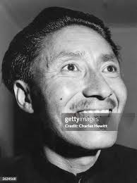 15 Hillary Hewitt Stock Photos, High-Res Pictures, and Images