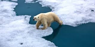 Facts Are Facts We Must Act On Climate Change Climate Change Paris Climate Arctic