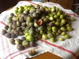 Les Figues De Vezenobres Photo De Office De Tourisme De Vezenobres Vezenobres France Travel Brussel Sprout Brussel