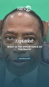 Many people have recently tuned into parliamentary proceedings and shared  videos of Deputy Leader of the FNM Shanendon Cartwright removing the mace  from its position. However, some still do not grasp ...