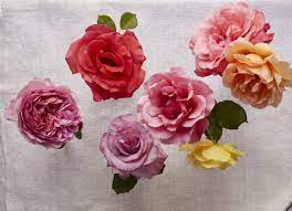Pink and white flowers meaning. 16 Flowers With Astonishing Meanings Floral Symbolism