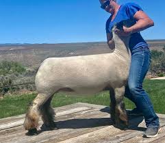 Excited to say the least to head...