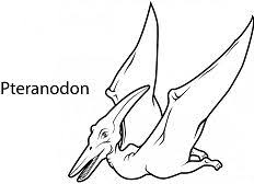It had a wingspan of up to 7 m! Pteranodon Coloring Pages Coloring Pages For Kids And Adults