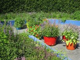 Check for dryness each day by inserting a finger into the soil about two inches. How To Grow Fruits Vegetables And Herbs In A Container Garden Modern Farmer