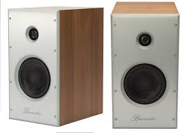 Speakers For Your Home Audio Or Home Theater Kolonki