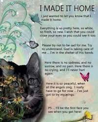 Poem About Pet Cats That Died Pet Loss Quotes Cat Quotes Losing A Pet