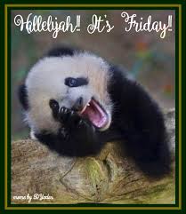 Hallelujah It S Friday Panda Panda Panda Bear Bear