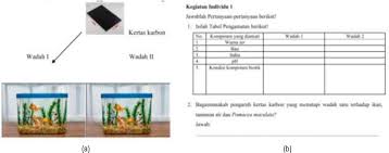 Maybe you would like to learn more about one of these? Pdf Developing Biology Students Worksheet Based On Steam To Empower Science Process Skills Semantic Scholar
