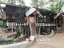 Check spelling or type a new query. Tree House Fish Farm Home Facebook