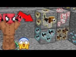 Fakir Kopek Madenleri Buldu Minecraft Youtube