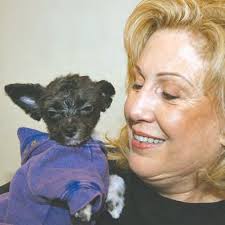 Queens Chronicle 44th Anniversary Edition by Queens Chronicle