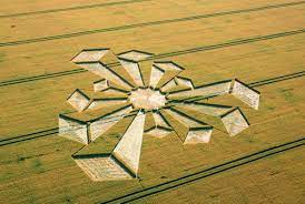 images?q=tbn:ANd9GcRq5x9Z0pGDrwG8GicvY8-