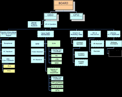 Sample Home Health Agency Organizational Chart Www